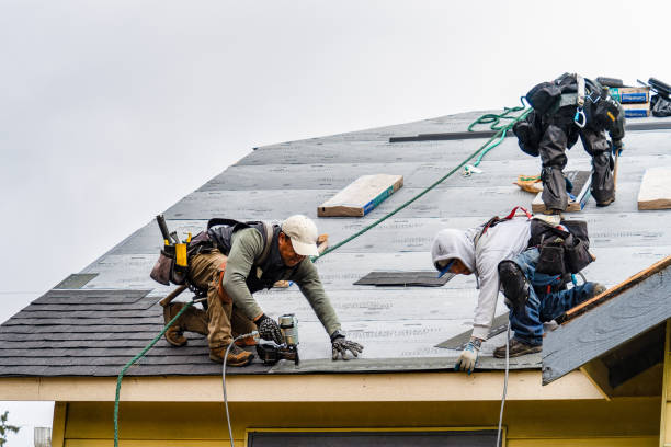 Professional Gutter Installation technician working in Montezuma, GA